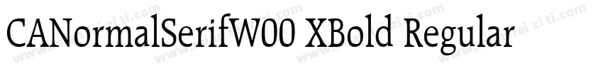 CANormalSerifW00 XBold Regular字体转换